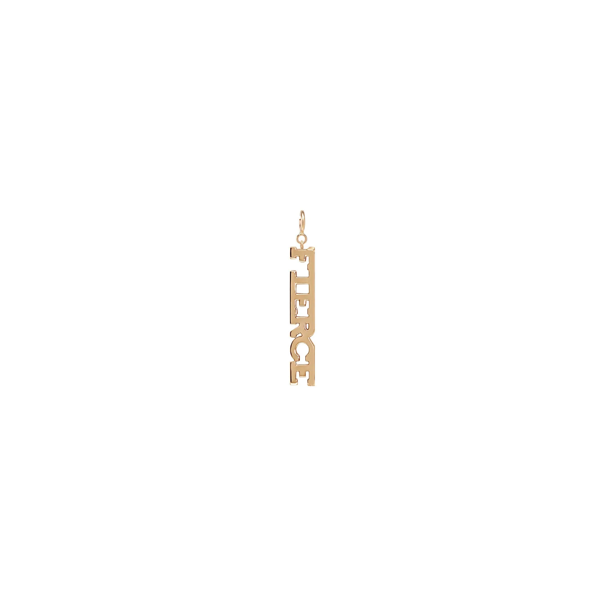 14k Single Itty Bitty FIERCE Charm