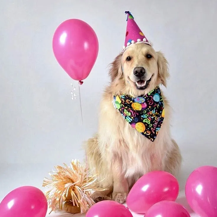 NEW Happy Birthday Bandana with Personalization